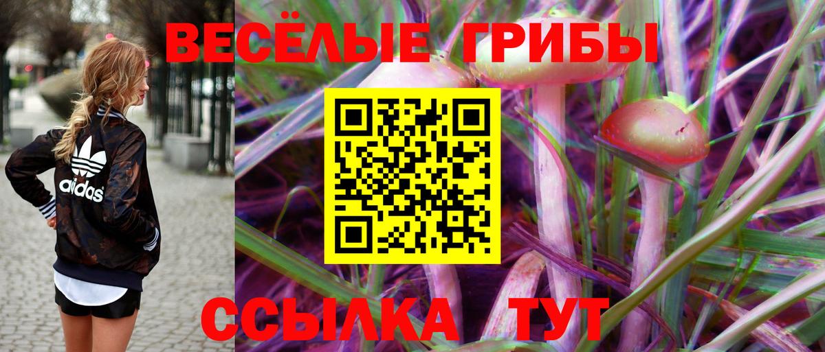 Буйнакск  Галлюциногенные грибы прущие грибы  Вход с VPN  Галлюциногенные грибы MAGIC MUSHROOMS 
